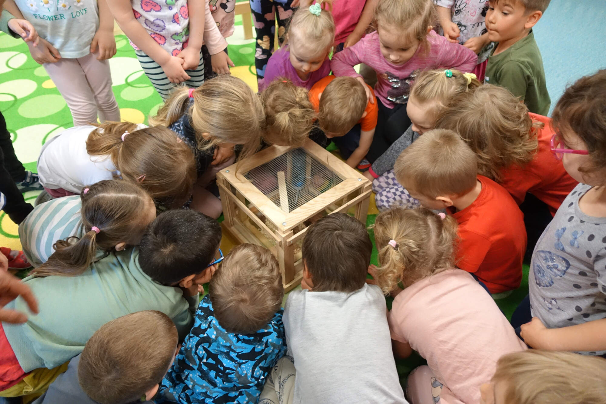 2025-05-01-Výukový program Čmeláci na Drdech-2.jpg